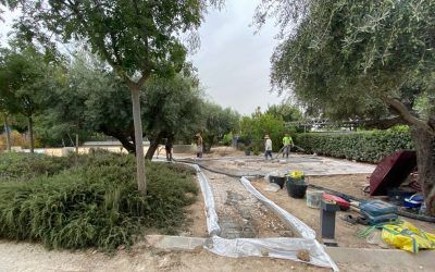 Nuevos proyectos