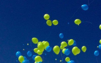 We celebrate our XV Anniversary